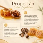 Propolis faydaları